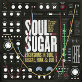 Excursions in Soul Reggae Funk & Dub - Soul Sugar
