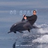 Les dauphins by St Graal iTunes Track 1