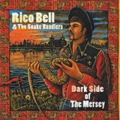 Rico Bell & the Snakehandlers - The Whole Thing Stinks
