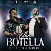 Una Botella artwork