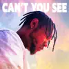 Can't You See - Single album lyrics, reviews, download