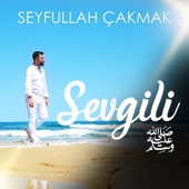 Sevgili artwork