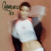 Chamomile Tea - Single