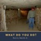 What Do You Do? (feat. Felipe Gomez) - Farris Smith Jr. & Sedric lyrics