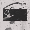 The Technicolors - Howl