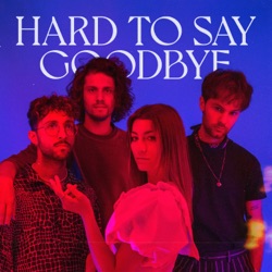 Ronde - Hard To Say Goodbye (Instrumental)