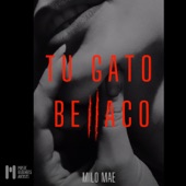 Tu Gato Bellaco artwork