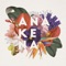 Montaña Rusa (feat. Liana Malva) - Anakena lyrics