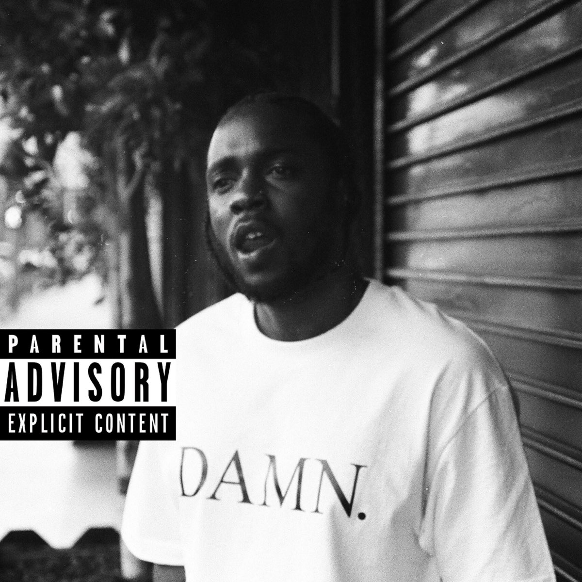 ‎DAMN. COLLECTORS EDITION. by Kendrick Lamar on Apple Music