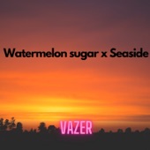 Watermelon Sugar X Seaside artwork
