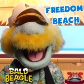 Bald Beagle - Freedom Beach