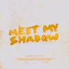 Meet My Shadow - Single album lyrics, reviews, download