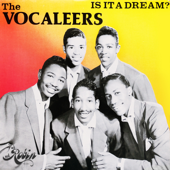 Is It a Dream? - The Vocaleers