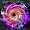 Tibetan Singing Bowls: Journey into the 7 Chakras (Bonus Track Version)