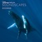 Under the Ice with Narwhals and Weddell Seals - Disneynature Soundscapes lyrics