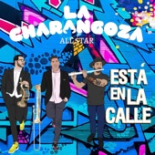 Complicada Relación (feat. Irving Manuel & Toñito León) artwork