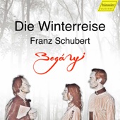Winterreise, Op. 89, D. 911 (Arr. for Oboe, Bassoon & Piano): No. 1, Gute Nacht artwork