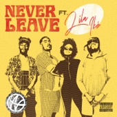 Never Leave artwork