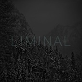 Still Sleep (Liminal Remix) artwork