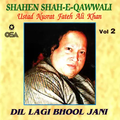 Dil Lagi Bhool Jani, Vol. 2 - Nusrat Fateh Ali Khan