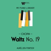 Waltz No. 19 in A Minor, B. 150 artwork