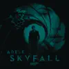 Skyfall - Single album lyrics, reviews, download