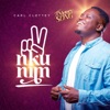 Nkunim (The Victory Song) - Single