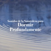 20 Sonidos de la Naturaleza para Dormir Profundamente con Música Relajante y Ruido Blanco artwork