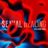 Sexual Healing - Single