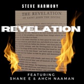 Steve Harmony - Revelation