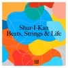 Beats, Strings & Life - EP