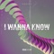 I Wanna Know (Extended Mix) artwork