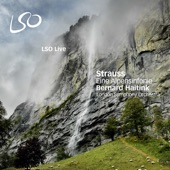 Strauss: Eine Alpensinfonie (An Alpine Symphony) artwork