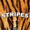 Stripes (feat. DYL) - WarBabyGlizzy lyrics