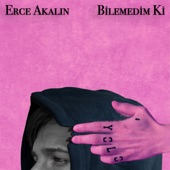 Bilemedim Ki artwork