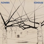 Flowers - Walls