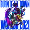 Burn It All Down song lyrics