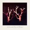 Trees in Winter album lyrics, reviews, download