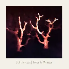 Gold Is King (Trees in Winter Version) Song Lyrics