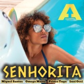 Senhorita (feat. Miguel Santos, Omega Masta, Prince Tuga & Luzi Occi) artwork