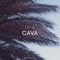 Cava - DP-6 lyrics