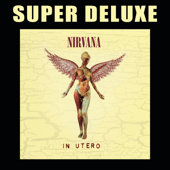 In Utero (20th Anniversary Super Deluxe Edition) - Nirvana