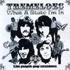 What a State I'm In: The Psych-Pop Sessions by The Tremeloes album reviews, ratings, credits