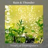 Tropical Downpours