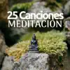 Stream & download 25 Canciones para la Meditación: la Mejor música budista para tu crecimiento espiritual