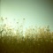 Lovely (feat. Thalia Cutrona) - Barrett Marshall lyrics