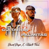 Guitarra y Palmitas artwork