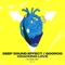 Cracking Love (Jepe Discotron Remix) - Deep Sound Effect & GOOROO lyrics