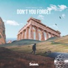 Don't You Forget - Single