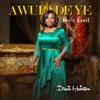 Awurade Ye Do It Lord - Single